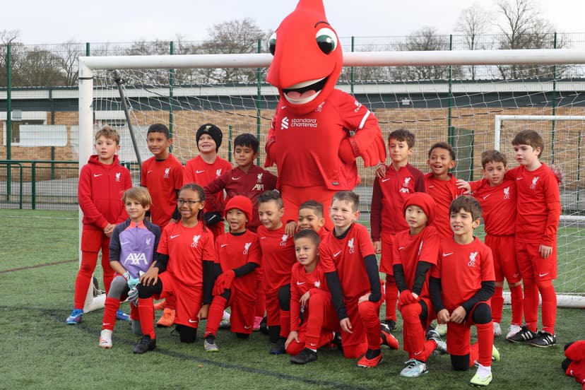 Receive Feedback & Watch for Tour Invites! - Image 2